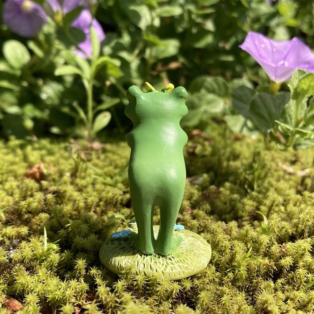 コポーちょうちょとカエル２