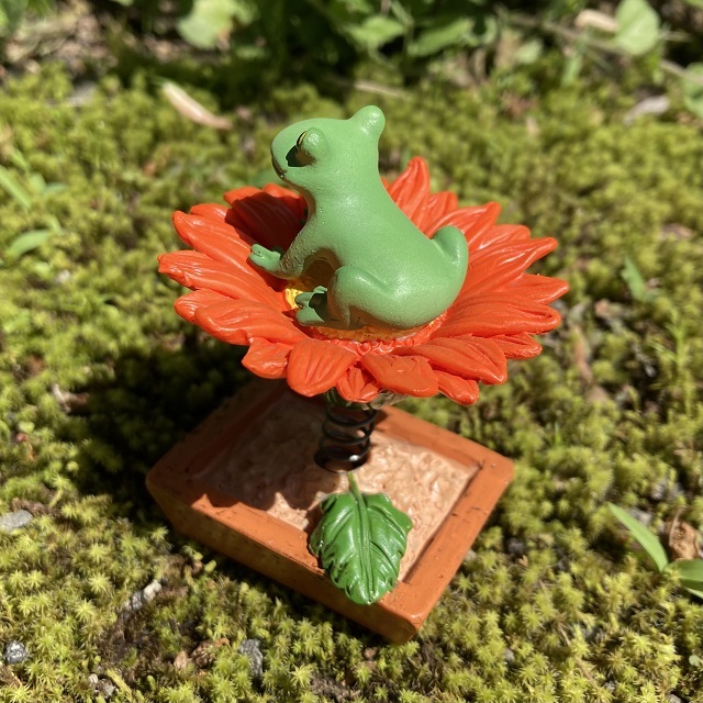 コポーガーベラの上でゆらゆら２