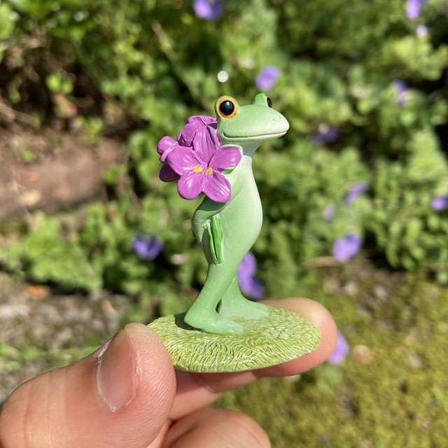 コポースミレとカエル３
