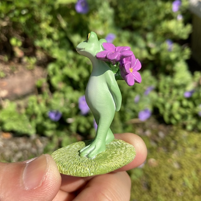 コポースミレとカエル４