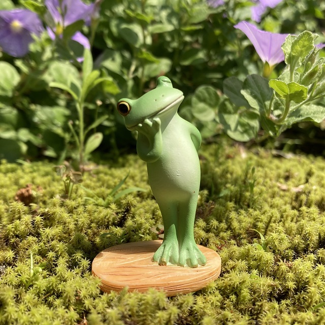 コポー様子をうかがうカエル