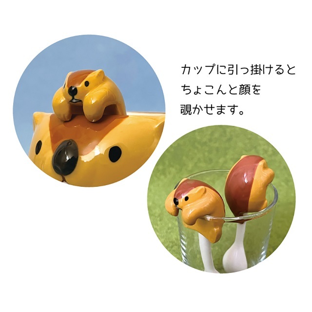 マーモット５