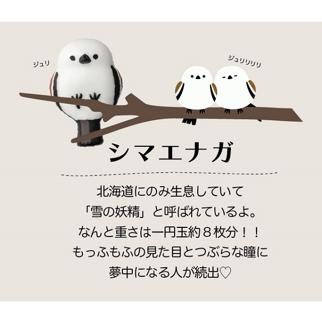 ニホンノコトリ５