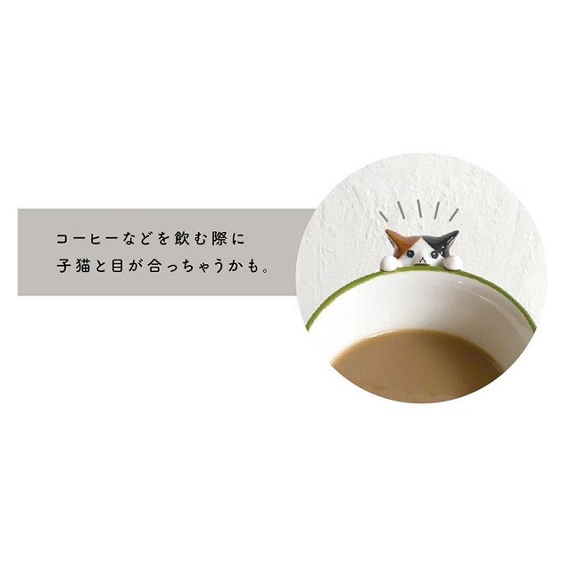 にらめっこ猫マグ６