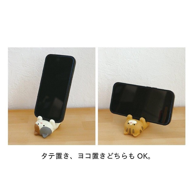 お宅の猫ちゃん１１