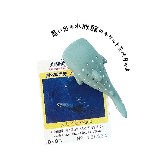 スイスイマグネット８
