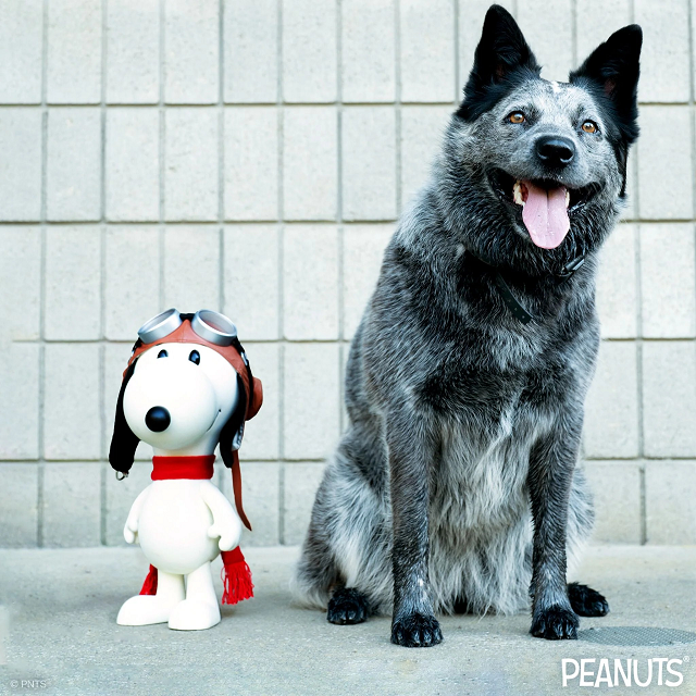 SUPER７　SNOOPY２０