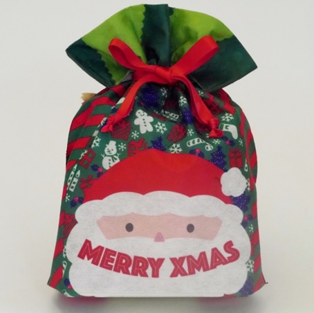 クリスマスサンタ