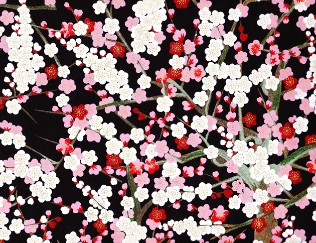 ゆしまの梅（黒）