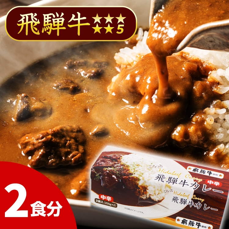 飛騨山味屋 5等級使用 ごろっと飛騨牛カレー［中辛］（2食分）/ビーフカレー//
