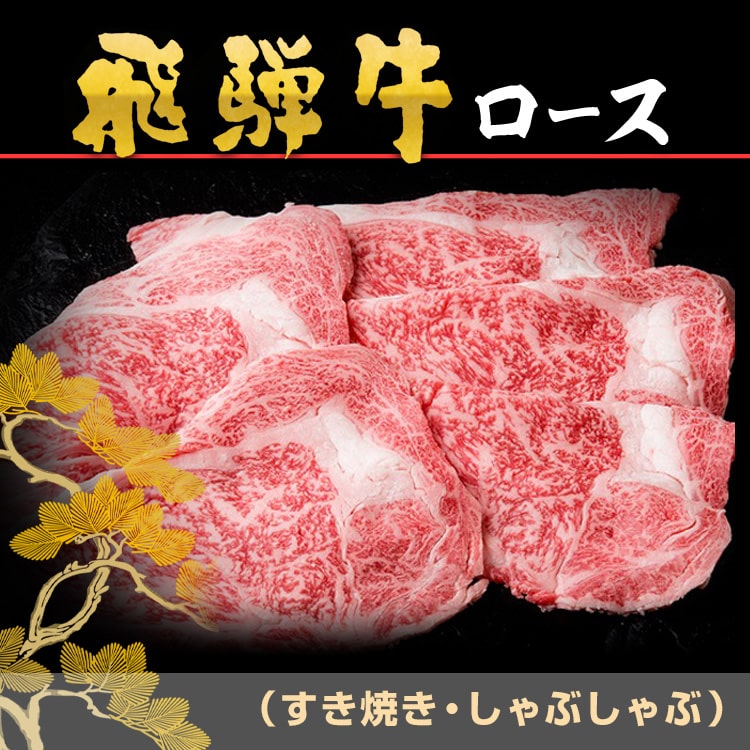 飛騨牛-ロース_500g