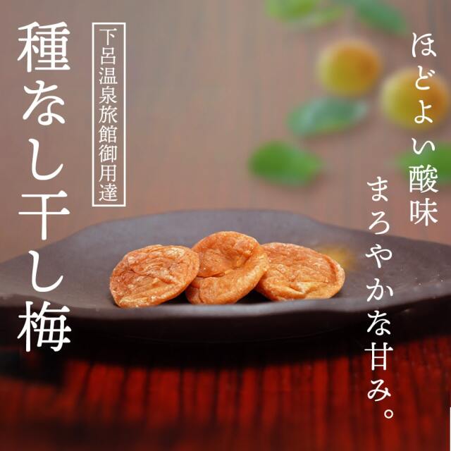 種なし干し梅160g_03