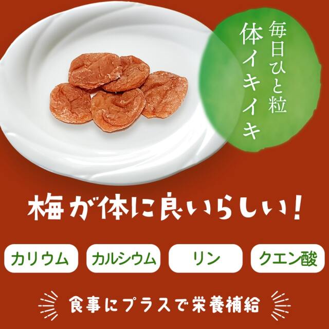 種なし干し梅160g_06