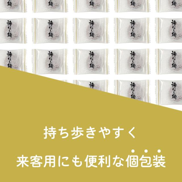 種なし干し梅160g_07