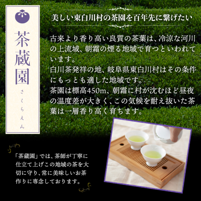 白川茶 特上煎茶 清流 贈答用 茶蔵園｜あずさ屋