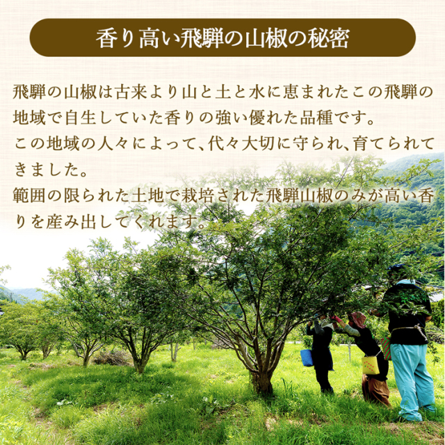 飛騨山椒粉_03