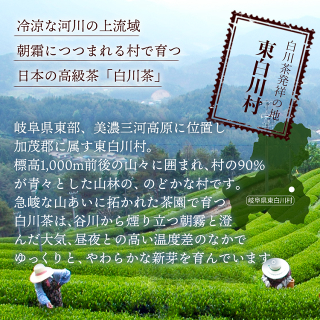 特上焙じ茶_05