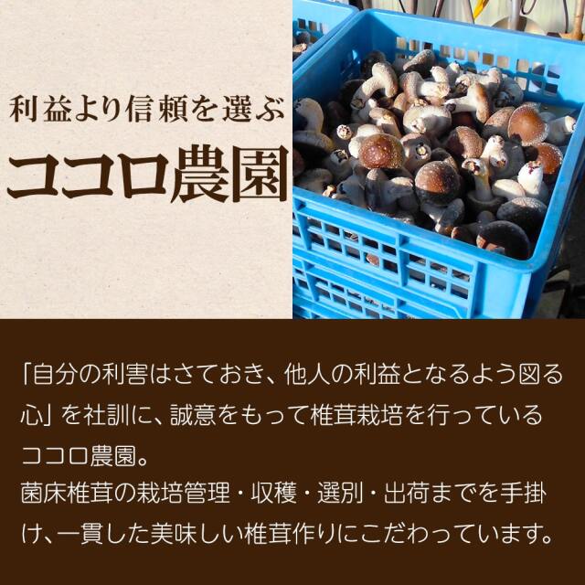 椎茸のうま煮_06