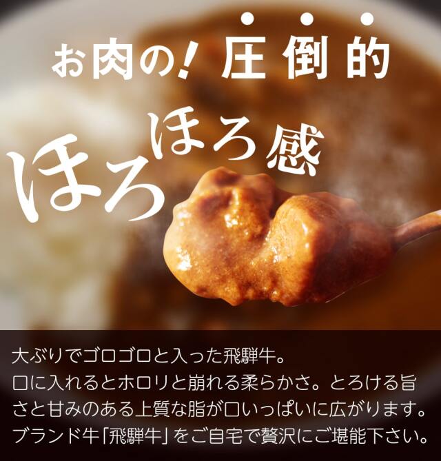覇楼館監修 飛騨牛カレー_03