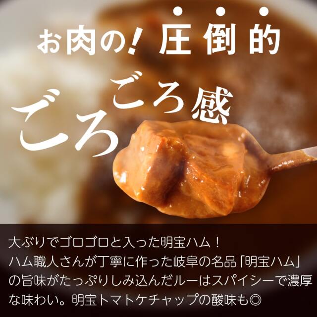 覇楼館監修 明宝ハムカレー1人前_03