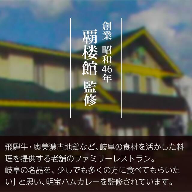覇楼館監修 明宝ハムカレー1人前_06