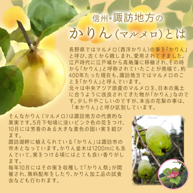 かりんドロップス_03