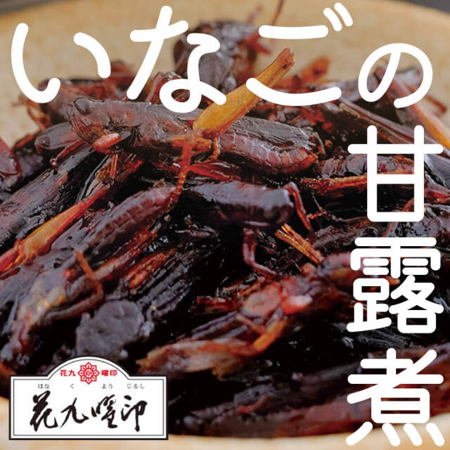 いなご甘露煮（佃煮）は信州の貴重なタンパク源！お酒のおつまみにも