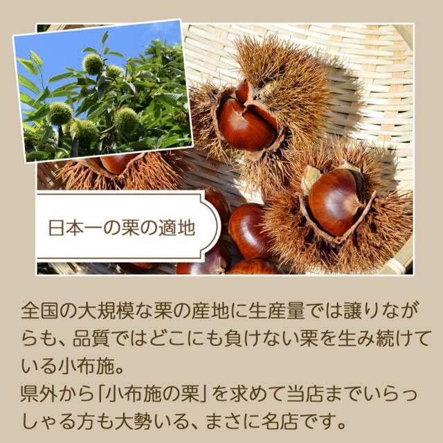 くまさんもなか詰合せ３個入_07