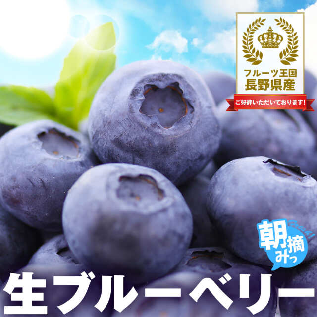 令和７年度★生ブルーベリー3ｋｇ（送料込） 楽天市場】【7月下旬よりご予約順に発送】 無添加 冷凍