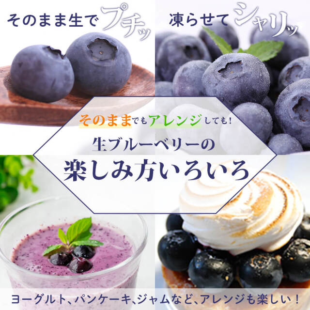 2025年度予約終了】信州産 生ブルーベリー1kg（250g×4パック）/7