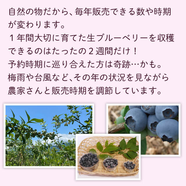2025年度予約終了】信州産 生ブルーベリー1kg（250g×4パック）/7