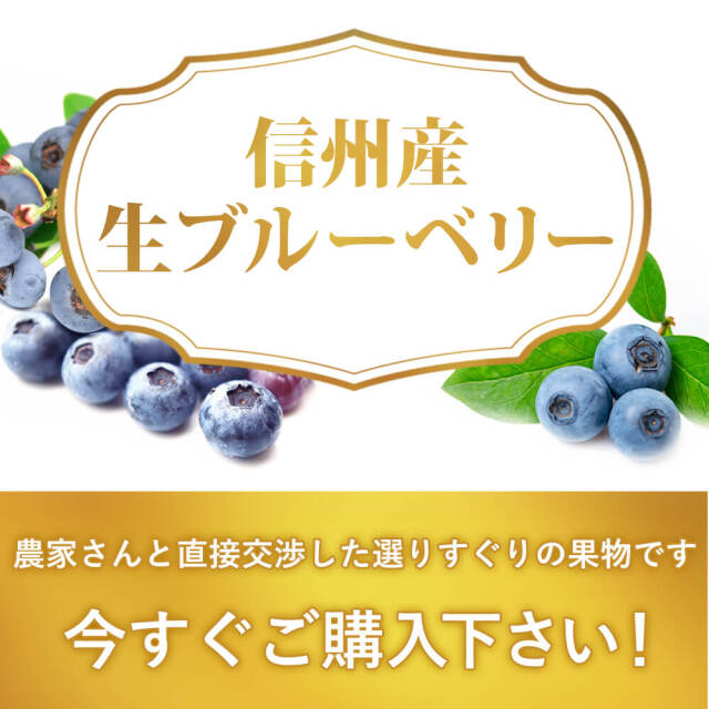令和7年度生ブルーベリー★3㎏(送料込み) 楽天市場】【ふるさと納税】令和7年産 冷凍 ブルーベリー 選べる
