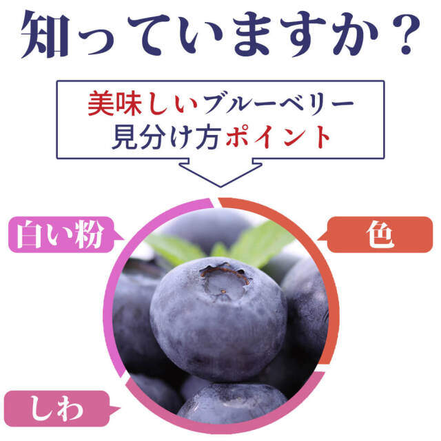 ⭐️信州産⭐️生ブルーベリー6kg【クール便＊朝採り＊農薬不使用＊種類MIX】 公式通販サイト】国産 朝摘み 完熟 生 ブルーベリー 800g |Berry