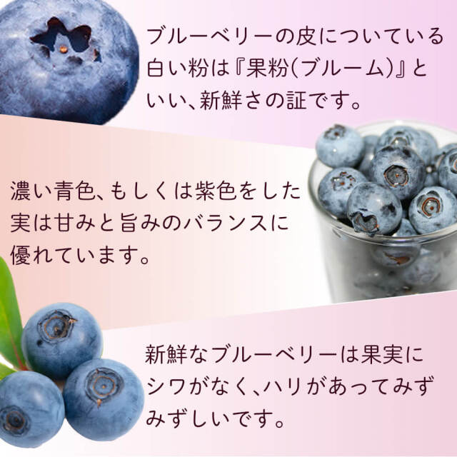 ☆令和7年 生ブルーベリー☆農薬不使用 3㌔ ゆたか 期間限定！農薬不使用、国産生ブルーベリー、2kg（500g×4パック