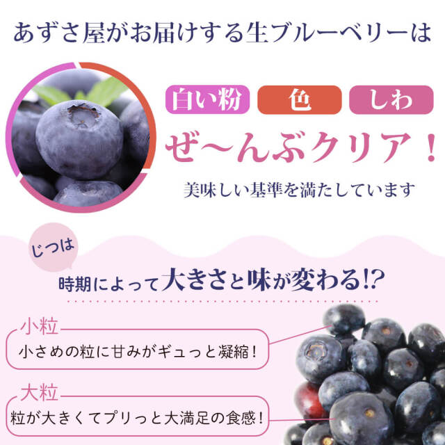 令和7年度生ブルーベリー★3㎏(送料込み) 楽天市場】ブルーベリー 3kgの通販