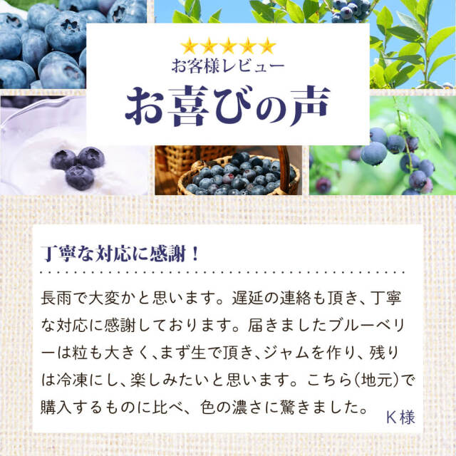 長野県産ブルーベリー 3kg long beach ブルーベリー生冷凍実 400g【TKSタングロン】 - 北海道発見市場