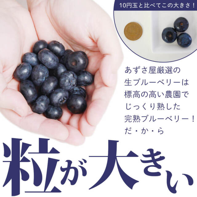 2025年度予約終了】信州産 生ブルーベリー1kg（250g×4パック）/7