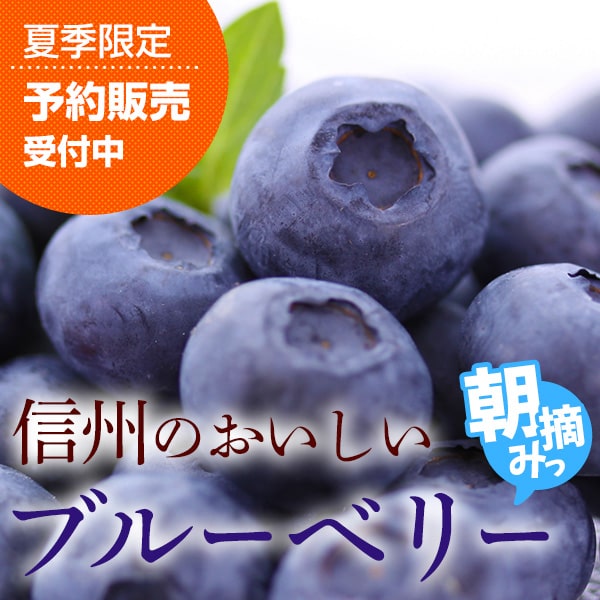 ブルーベリー