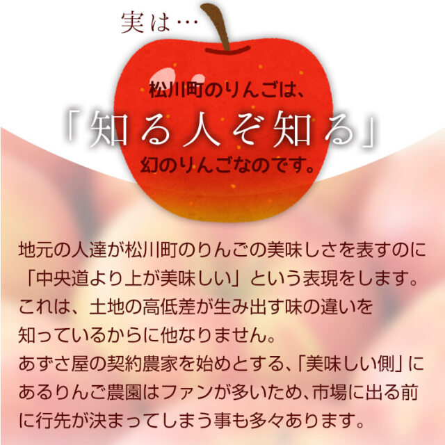長野 松川町の幻のりんご（ふじ）5kg 天竜川の恵みで蜜たっぷり