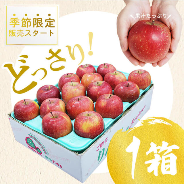 長野 松川町の幻のりんご（ふじ）5kg 天竜川の恵みで蜜たっぷり