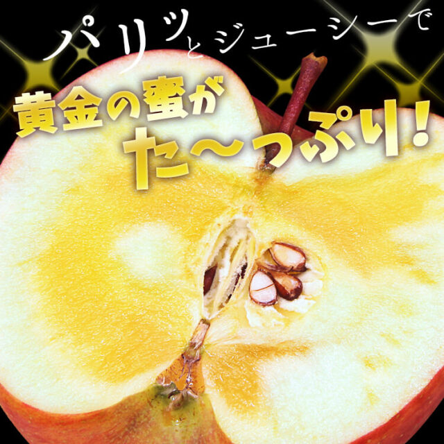 長野 松川町の幻のりんご（ふじ）5kg 天竜川の恵みで蜜たっぷり