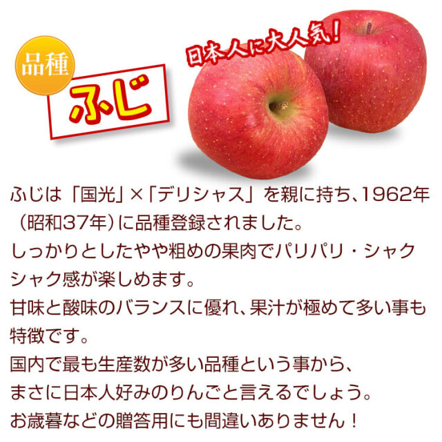 長野 松川町の幻のりんご（ふじ）5kg 天竜川の恵みで蜜たっぷり