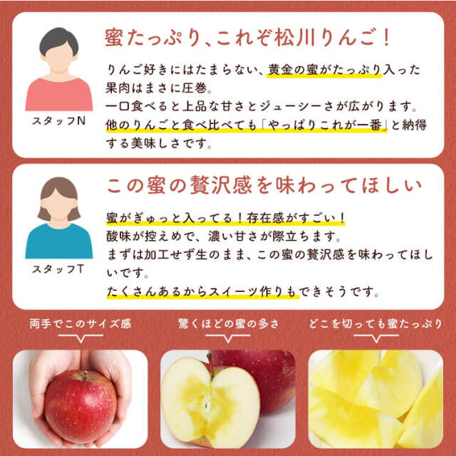 長野 松川町の幻のりんご（ふじ）5kg 天竜川の恵みで蜜たっぷり