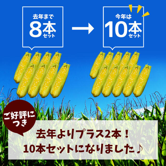 信州木曽 開田高原とうもろこし（10本セット）/8月中旬～発送