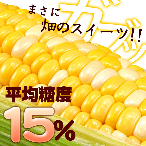2025年度終了】信州木曽 開田高原とうもろこし（10本セット）/8月中旬