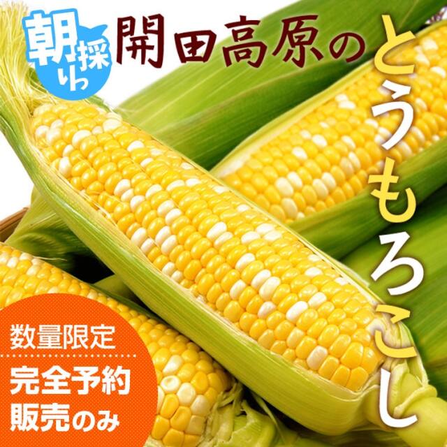 開田高原 激あま＆実がプリプリのとうもろこしの通販・お取り寄せ 