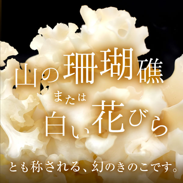 はなびらたけ_02