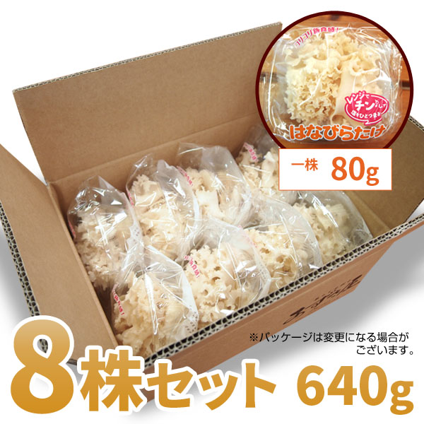 はなびらたけ_05