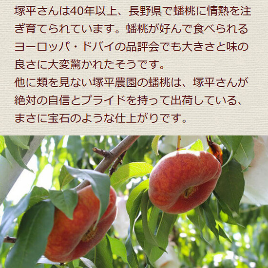 2025年度予約終了】信州産 塚平農園 蟠桃（1.5kg箱 約7～12個