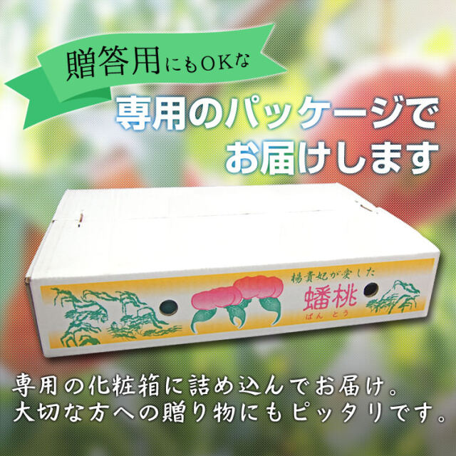 みっちょん桃 蟠桃 2箱 2025年度予約終了】信州産 塚平農園 蟠桃（1.5kg箱 約7～12個